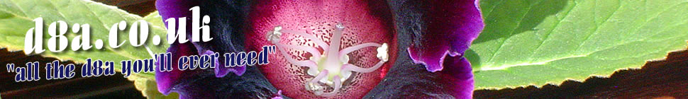 D8a information header image 2